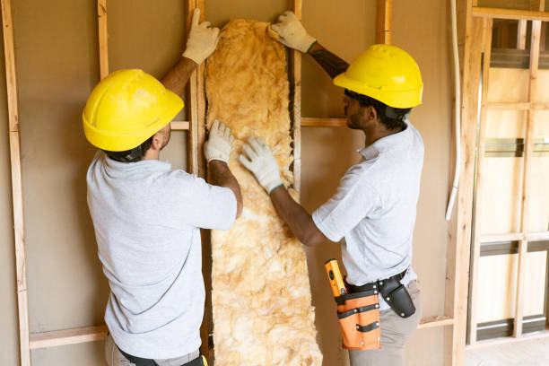 Best Insulation Contractor Near Me  in Prces Lakes, IN